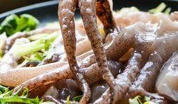 鱿鱼最新爆料图片高清,揭秘神秘海洋生物的绝美瞬间